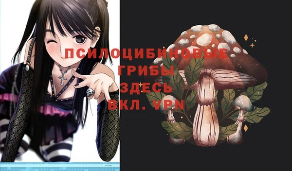 прущий лед Лабытнанги